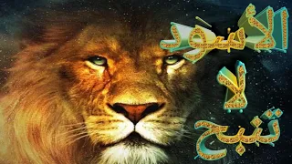 Gtc لا تأسفن على غدر الزمان لطالما رقصت على جثث الأسود كلاب 