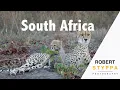 Download Lagu Safari in South Afrika at Ulusaba (by Richard Branson in Sabi Sabi) and Rhino Ridge lodge