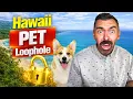 The Hidden Loophole for Pet Friendly Housing in Hawaii Must See