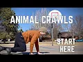 6 Animal Crawls That Transform Your Entire Body