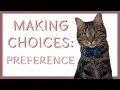 Making Choices Preference