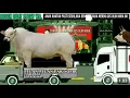 Download Lagu TAKBIRAN IDUL ADHA MERDU GUS ULIN NUHA(ANIMASI TAKBIRAN KELILING)