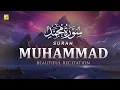 Download Lagu Stunning recitation of Surah Muhammad سورة محمد | SOFT VOICE | Zikrullah TV