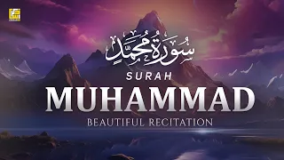 Stunning Recitation Of Surah Muhammad سورة محمد SOFT VOICE Zikrullah TV 
