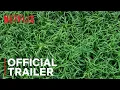 Video di In the Tall Grass | Official Trailer | Netflix