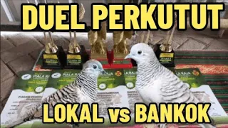 Download PERKUTUT BANGKOK JUARA vs PERKUTUT LOKAL JUARA MP3