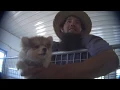 Allgyer s Kennel - Amos Allgyer s USDA Licensed Puppy Mill Breeder in Platteville WI
