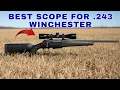 Best Scope For 243 Winchester Top 5 Tested Ranked 2026