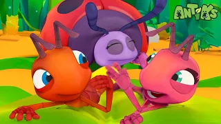 🐜🆘 Tolong! Joey dan Boo Tenggelam di Pasir Hisap! 😱 | ANTIKS Indonesia | Kartun Anak