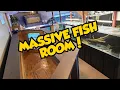ALL MY AQUARIUMS - PLANS FOR THE FUTURE