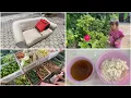 Download Lagu BELANJA || MEMASAK || MENCUCI SOFA DI RUMAH ‼️