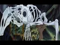 Download Lagu Drunk Skeletons / prod. vmeshbeats [slowed \u0026 reverb]