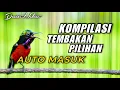 Download Lagu KOMPILASI TEMBAKAN KONIN GACOR FULL ISIAN COCOK BUAT MASTERAN DAN PANCINGAN KOLIBRI NINJA BAHAN