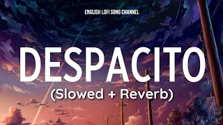 despacito slowed reverb luis fonsi daddy yankee ft justin bieber english lofi song