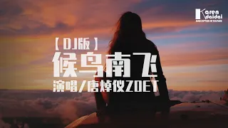 Download 唐焯仪ZOET - 候鸟南飞【DJ版】 ♪ KarenDaidai MP3