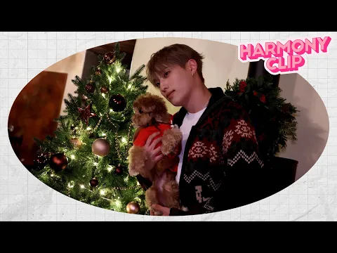 The Christmas Songのサムネイル