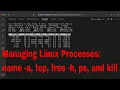 Managing Linux Processes name - a top free