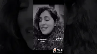 شاهد ايتن عامر سهر الليالي شو كانت حلوه الليالي بدون موسيقى 