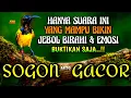 Lagu Penjebol birahi \u0026 emosi‼️ Pancingan sogon agar bunyi gacor