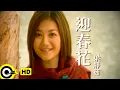 Download Lagu 梁靜茹 Fish Leong【迎春花】Official Music Video