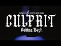Lagu Sabina Beyli - Culprit (Official Music Video)