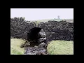 Magh Seóla - The Level Plain