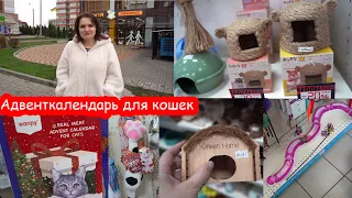 Хомки скупают зоомагазины