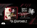 Te Encontré - (En Vivo) - Ulices Chaidez - DEL Records 2020