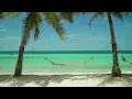 🌴Calm Tropical Beach Relax on a hammock with Wave Sounds 8 hrs 4K