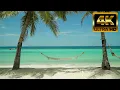 Download Lagu 🌴Calm Tropical Beach Relax on a hammock with Wave Sounds 8 hrs 4K