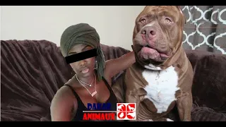 this man leaves his wife with 7 pit bulls in the house what happens next will surprise you 