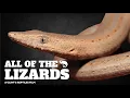 The Most Complete Guide To Lizards and Their Relatives Ever Made