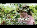 Download Lagu Pangkalan Umbak- Armadi Raga (Lagu Daerah Sumatera Selatan) lirik