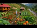 Download Lagu Panen Labu Besar Tanpa Jaringan! Dijual di Pasar, Rumah Kami Dibangun Kembali \u0026 Ikan Dipelihara untu