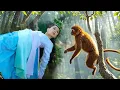 Download Lagu Đang Ngủ Thì Bị Con Khỉ Phá Đám, Cô Gái Dùng Khinh Công Đuổi Theo Nó Thì Phát Hiện 1 Bí Mật Bên Dưới