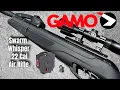 Best Budget Air Rifle Gamo Swarm Whisper