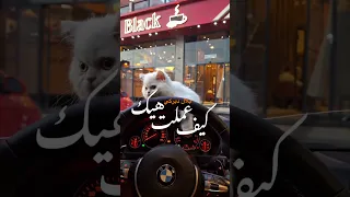 كيف عملت هيك بلال ديركي أجمل حالات واتس اب 2025 اكسبلور ريلز لايك Music تصميمي حب ترند  كيف عملت هيك بلال ديركي أجمل حالات واتس اب 2025 اكسبلور ريلز لايك Music تصميمي حب ترند