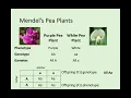 N5 Biology - 2 4 Variation and Inheritance
