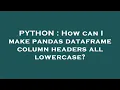 PYTHON How can I make pandas dataframe column headers all lowercase