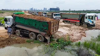 IMPRESSIVE New Project Step by Step!! Continuing Landfill Flood-prone Area use Dump Truck 25ton