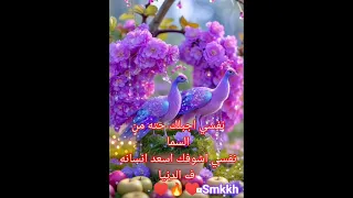 جنات جمبك ومعاك 