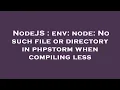 NodeJS env node No such file or directory in phpstorm when compiling less