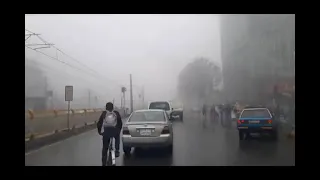 Ethiopia ትግስት መኮንን ኒኒ ፍቅርን ፍለጋ Tigist Mekonnen Nini Fikrn Filega 