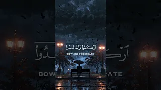 يا أيها الذين آمنوا اركعوا واسجدوا واعبدوا ربكم وافعلوا الخير لعلكم تفلحون القارئ عبدالرحمن مسعد 