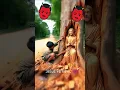 Download Lagu 😇 Jesus VS Devil 👿, Do You Love Jesus?❤️😊  #jesus #deus #god #shorts