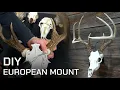 Skull Master Easy DIY European Mount DEMO