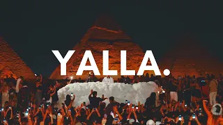                                                         دندنها