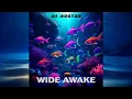 Download Lagu Wide Awake - djbostar