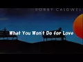 Download Lagu Bobby Caldwell  / What You Won't Do for Love [with Lyrics]