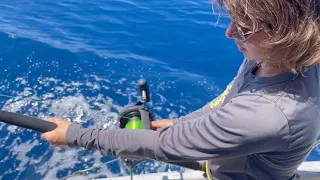 S2E31 painting the topsides and a day of fishing (Dominican Republic)